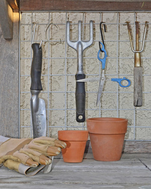 10 Trusty Tools No Gardener Can Live Without