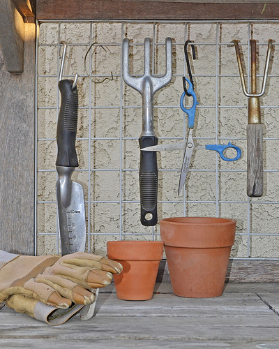 Hand rakes, scissors, and trowels are just a few must-have gardening tools. – Attribution: Flickr, Creative Commons License, D. Laird