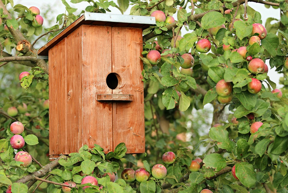 6 Easy Woodworking Projects for Beginners