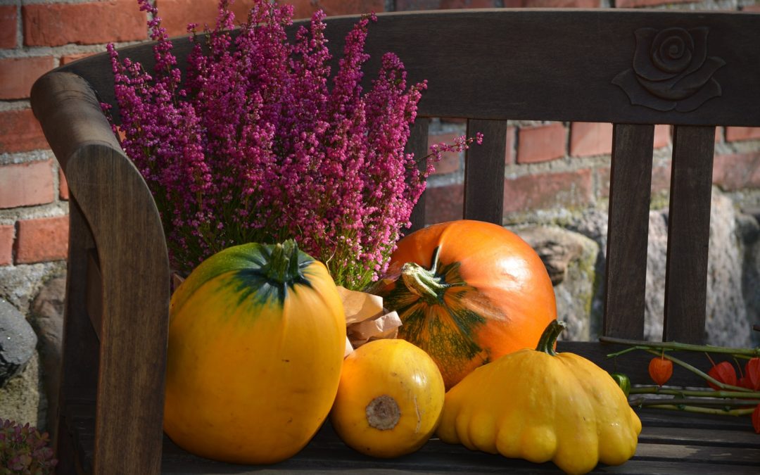 6 Ways to Incorporate Pumpkins Into Your Patio and Porch