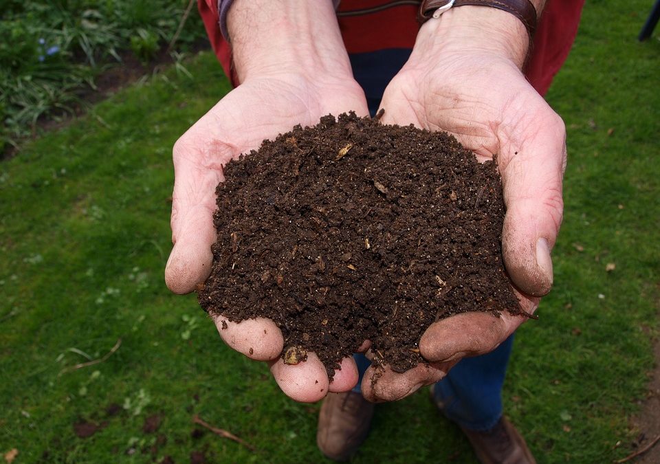 A Step-By-Step Guide to Home Composting