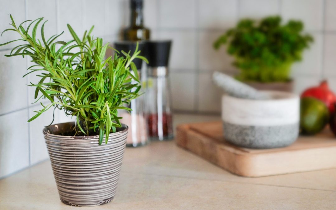 A Guide to Starting a Kitchen Herb Garden