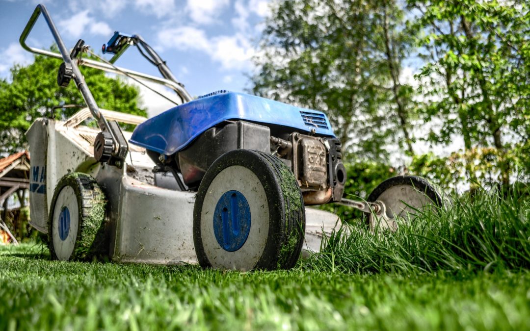 Lawn Tool Maintenance and Storage Tips Every Homeowner Should Know