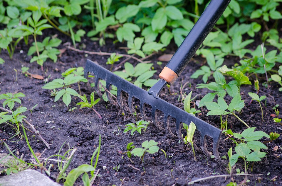 8 Ways Gardening Improves Your Life