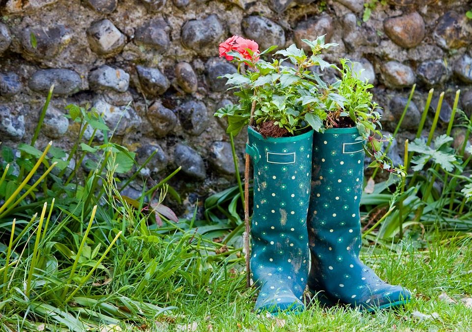 6 Backyard Upcycling Ideas for Earth Day