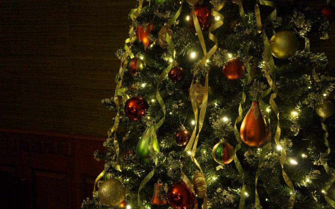 4 Tips to Help Your Christmas Tree Last All Season