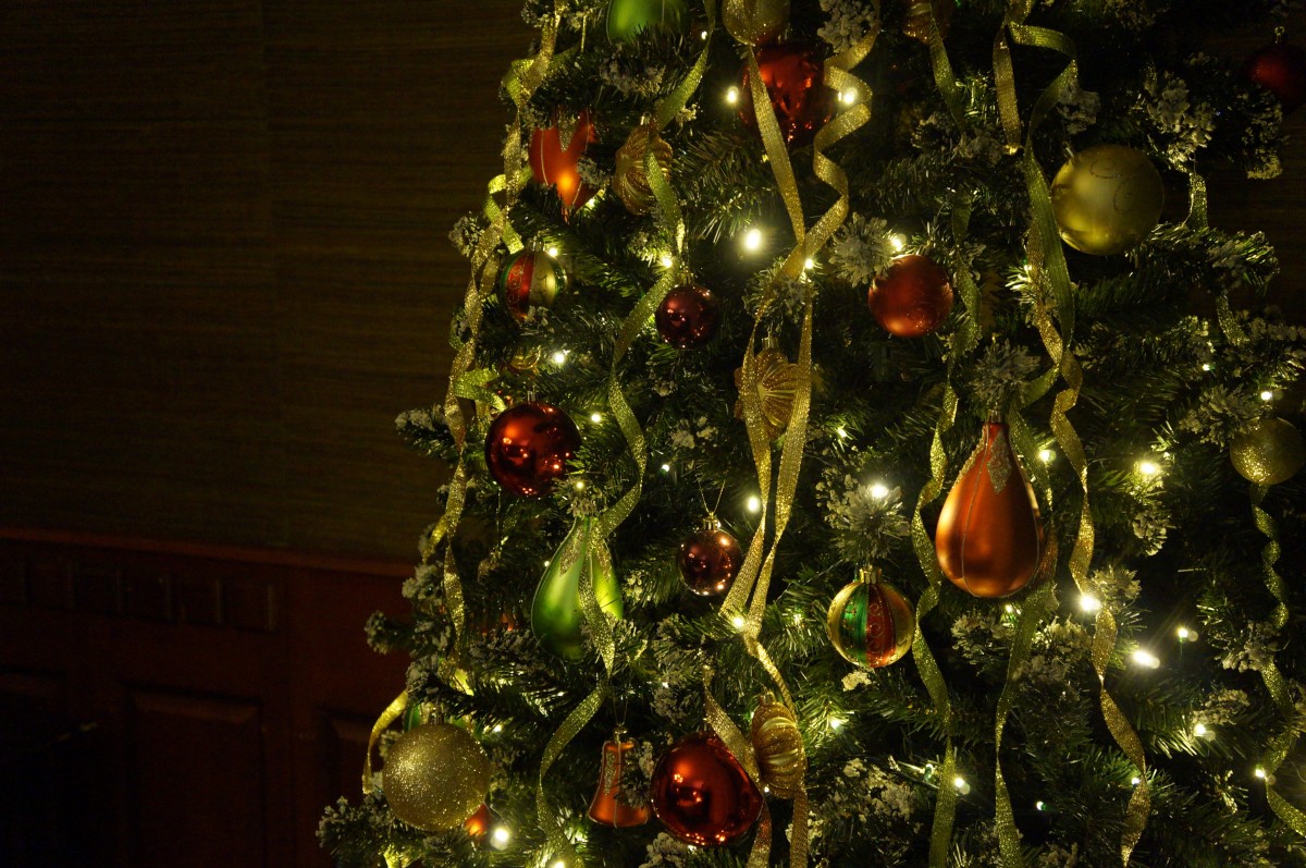 4 Tips to Help Your Christmas Tree Last All Season